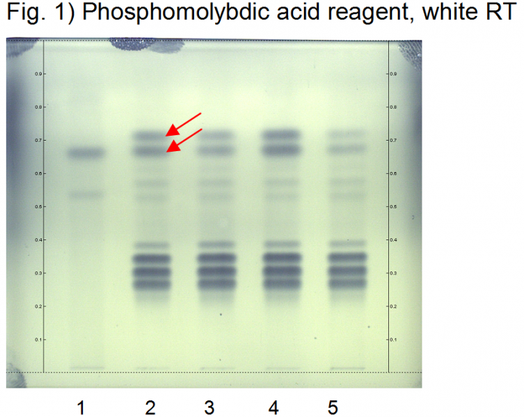 File:Coix lacryma-jobi -hptclc-association.png