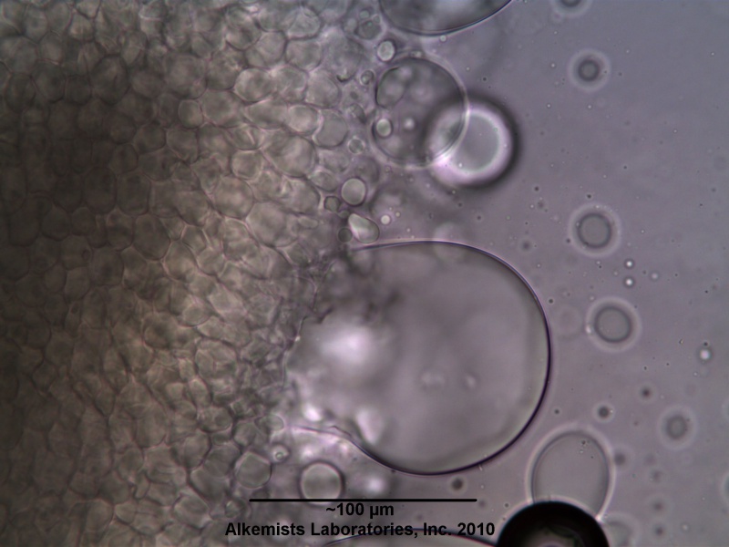 File:Organic Flax Seed-1 Alkemist Laboratories.jpg