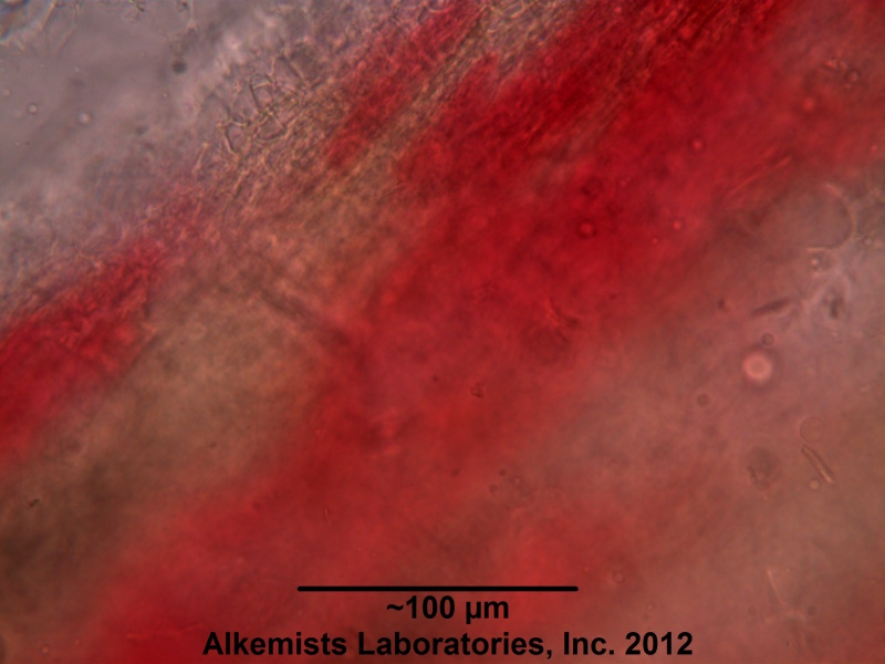 File:Milk Thistle-1 Alkemist Laboratories.jpg