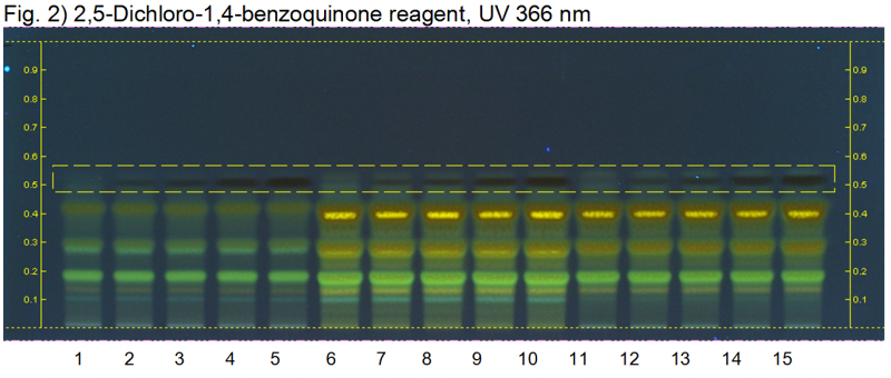File:Curcuma longa w nim-2,5-Dichloro-1,4-benzoquinone reagent, UV 366 nm-hptlc-association.png