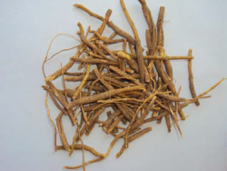 Withania somnifera - NR - Dried Root.png