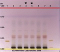 Hibiscus sabdariffa - Alkemists Laboratories.jpg