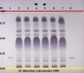 Capsicum annuum - Alkemists Laboratories.jpg