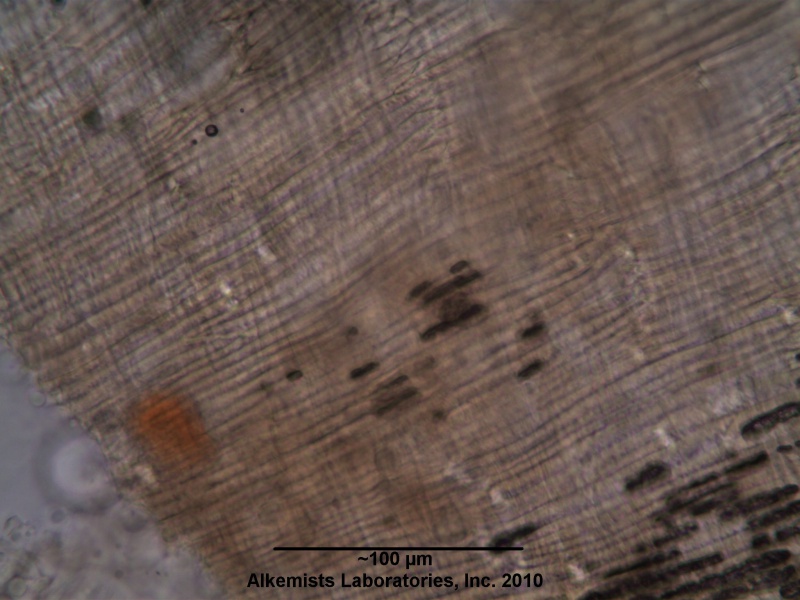File:Organic Flax Seed Alkemist Laboratories.jpg