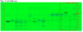 Ligusticum spp. root-UV 254 nm-hptclc-association.png