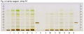 Peumus boldus-Iodine reagent, white RT-hptclc-association.png