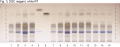 Arctostaphylos uva ursi-hptlc-association.png