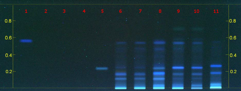File:Camag-blackcohosh-1-d-uv366.png