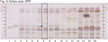 Angelica dahurica-Sulfuric acid, WRT-hptlc-association.png