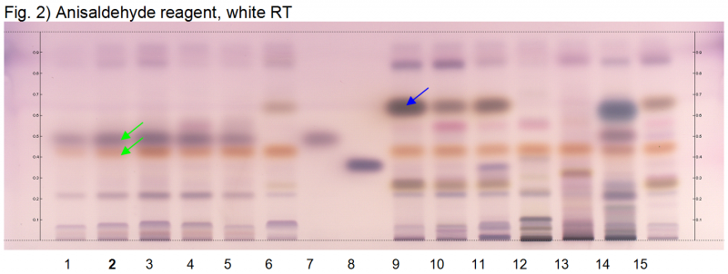 File:Amomum spp-Anisaldehyde reagent, white RT-hptlc-association.png