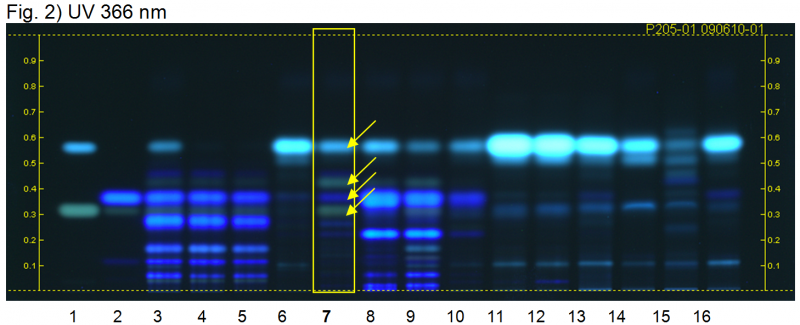 File:Angelica dahurica-UV 366 nm-hptlc-association.png