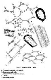 Microanalysis powdered vegetable p 208 google ver aconitum root.PNG