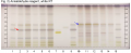 Aloysia citriodora-Anisaldehyde reagent, white RT-hptclc-association.png