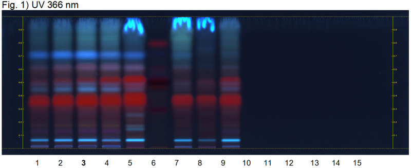 File:Arnebia spp-UV 366 nm-hptlc-association.png