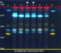 Lactuca virosa - Alkemists Laboratories.jpg
