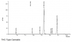 GC - THC-Type Cannabis - OleMiss.png