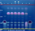 Coriandrum sativum - Alkemists Laboratories.jpg