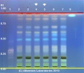 Glycine max - Alkemists Laboratories.jpg