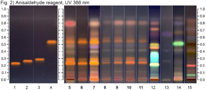 File:Zingiber officinale-uv366nm-hptlc-association.png