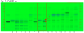 Angelica pubescens-UV 254 nm-hptclc-association.png