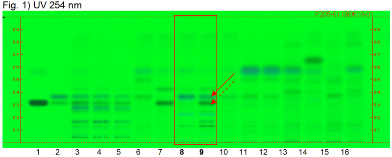 File:Angelica pubescens-UV 254 nm-hptclc-association.png
