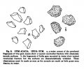 Microanalysis powdered vegetable p 202 google ver acacia.png