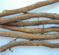G. glabra - Dried Root - Quality Assessment of Selected IndianMedicinal Plants.png