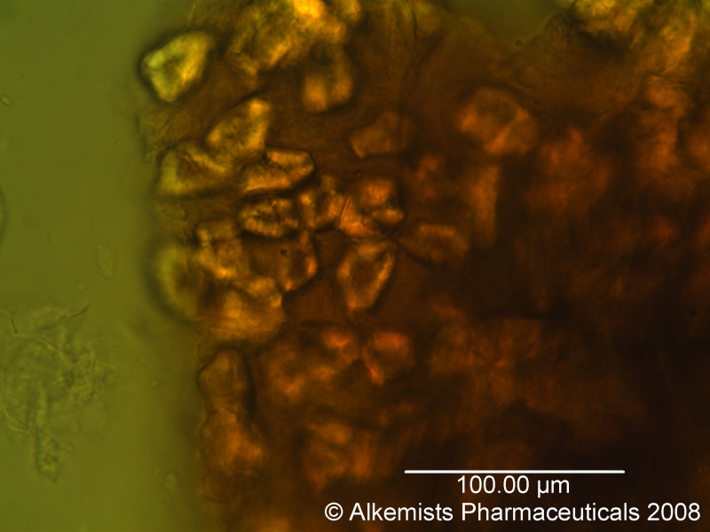 File:Organic Black Pepper-1 Alkemist Laboratories.jpg