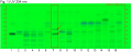 Angelica dahurica-UV 254 nm-hptlc-association.png