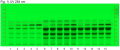 Curcuma longa w nim-UV 254 nm-hptlc-association.png