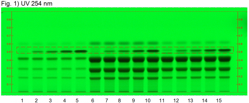 File:Curcuma longa w nim-UV 254 nm-hptlc-association.png