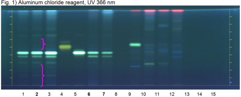 File:Drynaria fortunei-hptclc-association.png