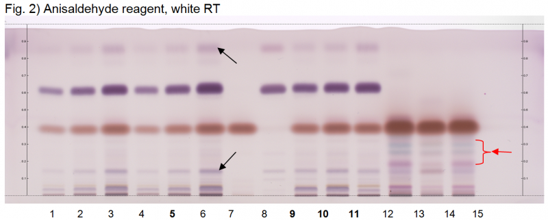 File:Carum carvi fruit-Anisaldehyde reagent, white RT-hptlc-association.png