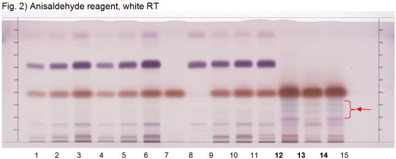 File:Carum carvi oil-Anisaldehyde reagent, white RT-hptlc-association.png