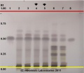 Magnolia officinalis - Alkemists Laboratories.jpg