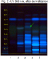 Chebulic myrobalan fruit-UV 366 nm, after derivatization-hptclc-association.png