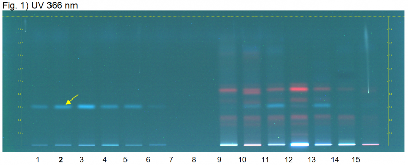 File:Amomum spp-UV 366 nm-hptlc-association.png